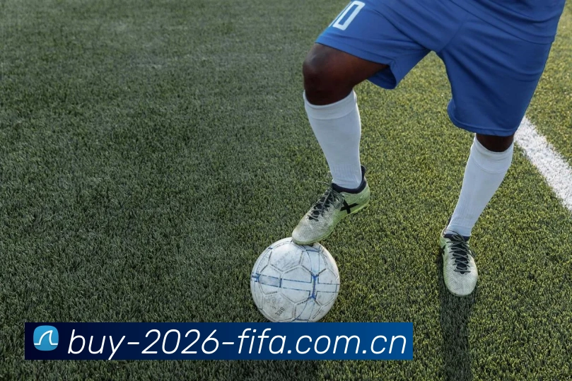 2026世界杯官方数据应用界面