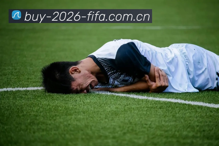 2026世界杯官方数据面板