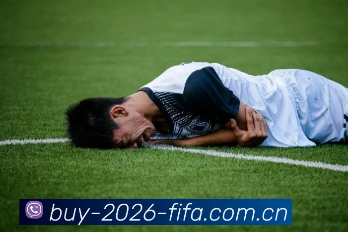 FIFA 官方数据授权认证